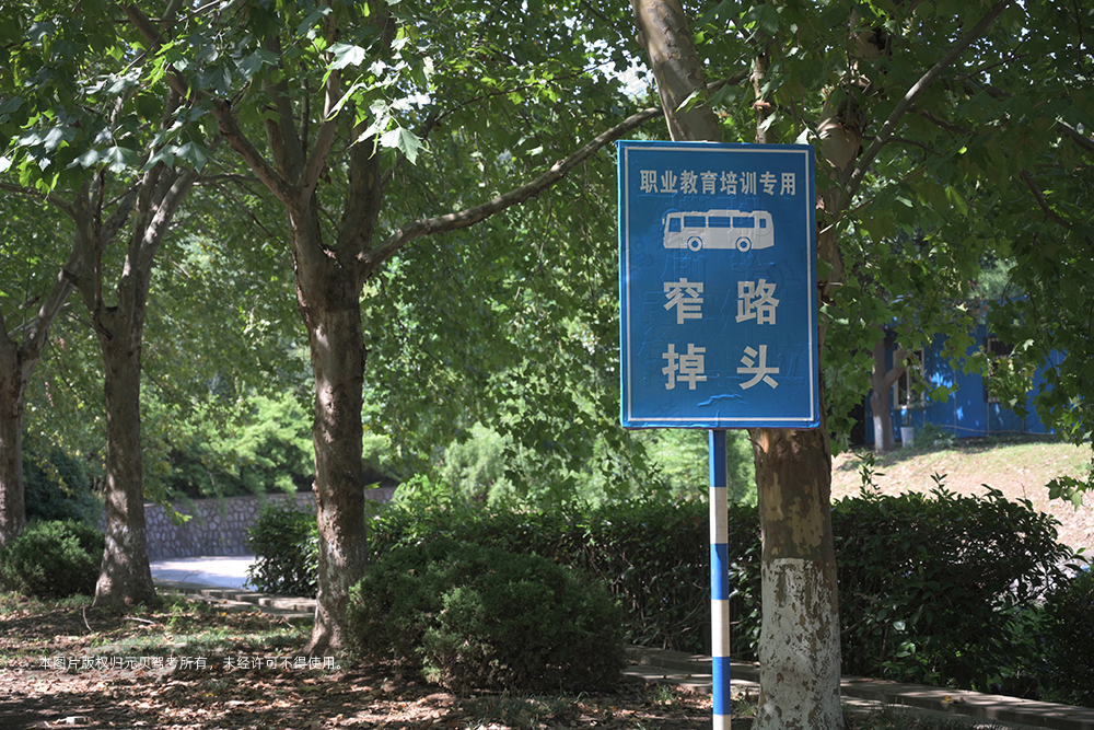 2024年驾考新规报名费增加了吗,现在的驾考和以前的驾考哪个难