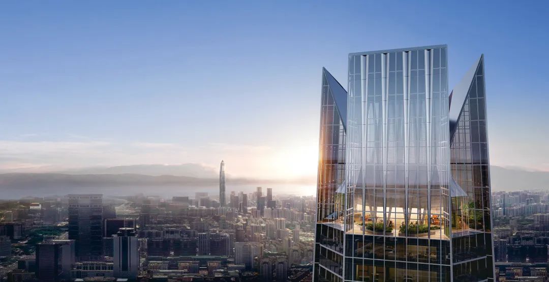 110秒超震撼！看完这个视频，深圳网友坐不住了