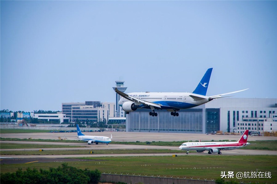 青岛航空怎么单独给小孩买机票,青岛航空买免费儿童票