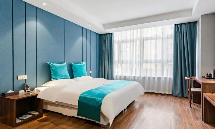 春树影舍直播,春树影舍酒店免费住是真的吗