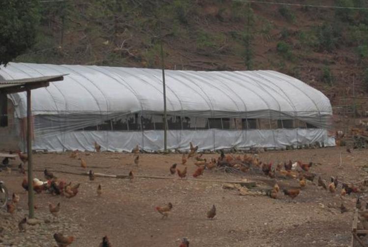 吉林小伙离职后续,吉林小伙创业5年40万