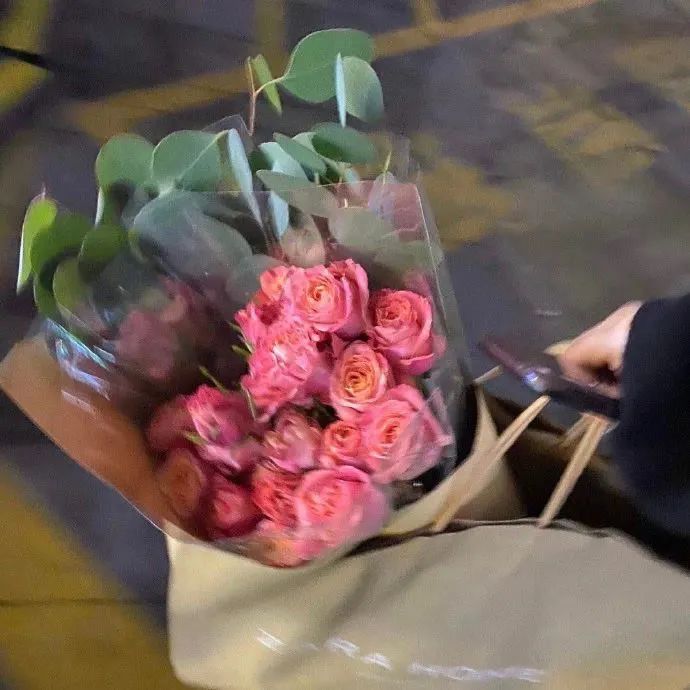 背景图ins风鲜花,ins复古黑色鲜花壁纸