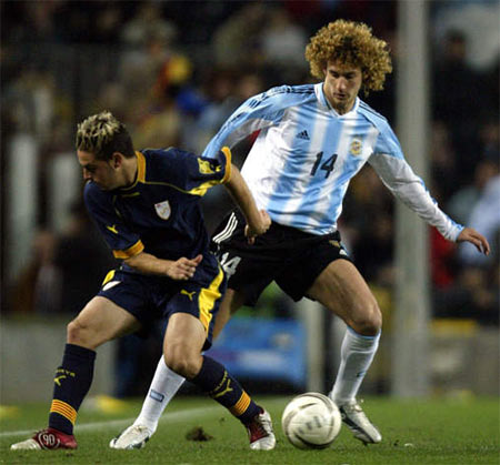 潘帕斯雄鹰长啥样,潘帕斯雄鹰长什么样