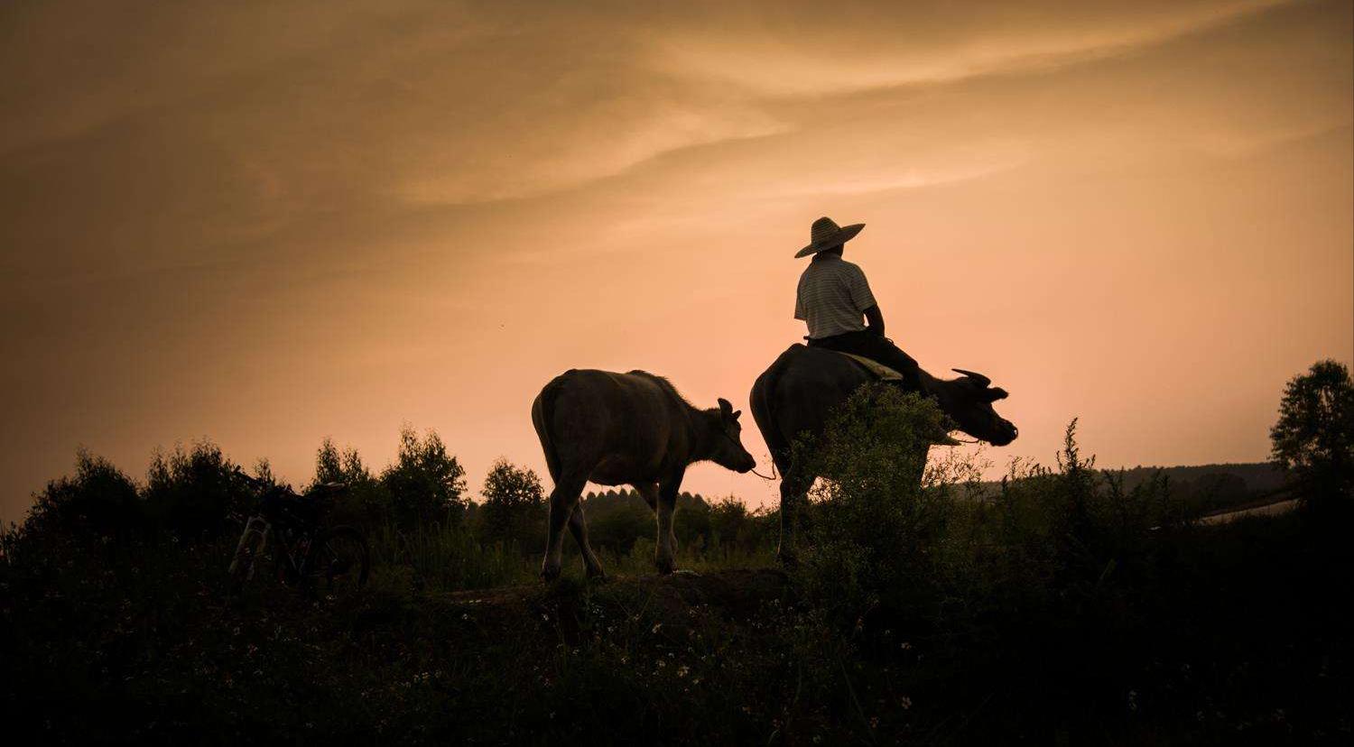 乡土散文名篇,乡土纪实散文原创
