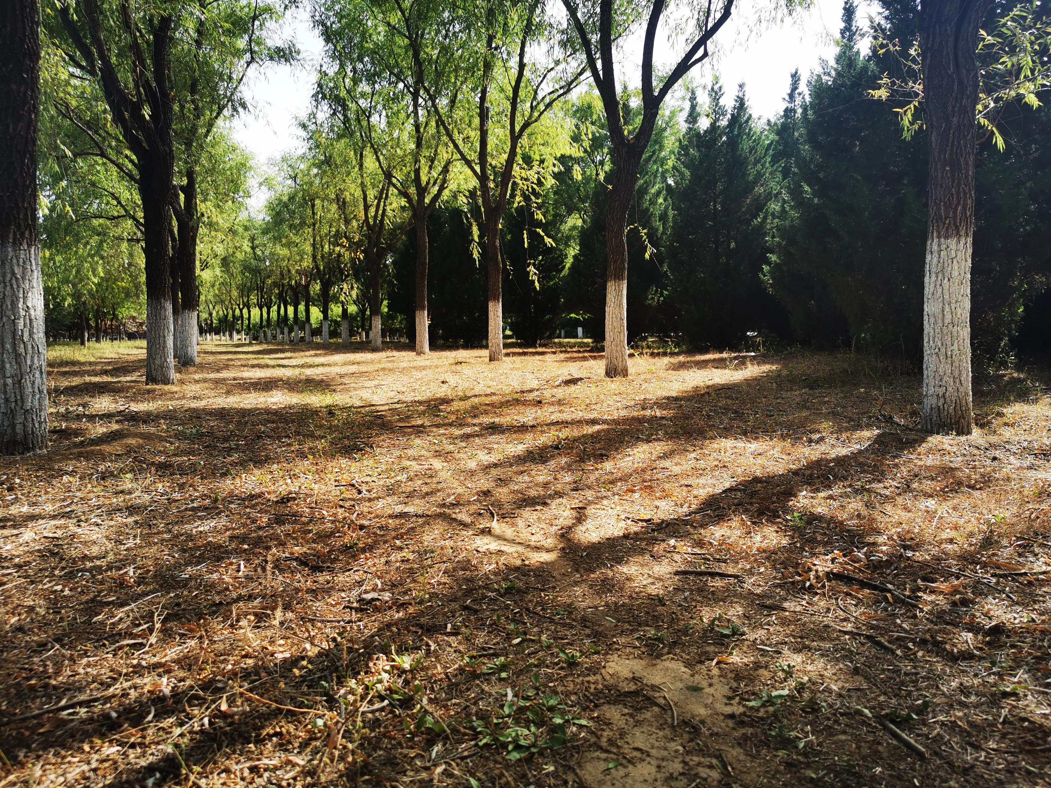 在哪里能租到北京的农家小院,北京哪里可以租农村小院