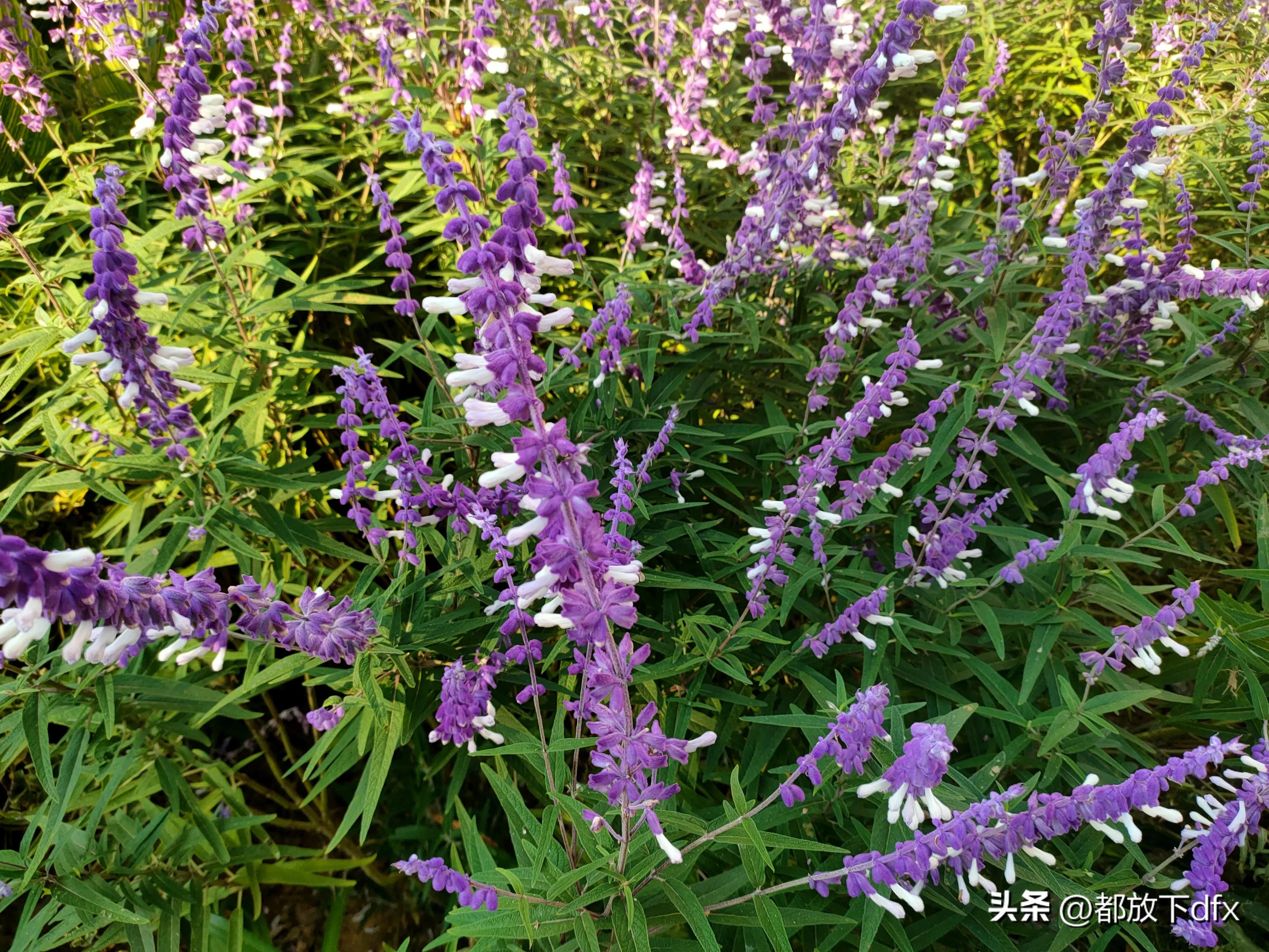 分道扬镳,各走各的路,也挺好的