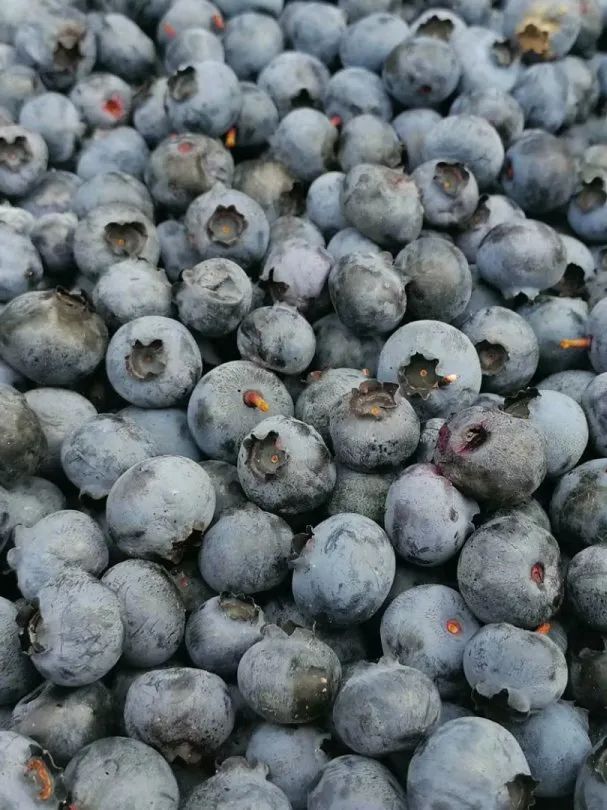 白山市出发五一2-3天短途旅游推荐,冬季白山周边一日游景点大全