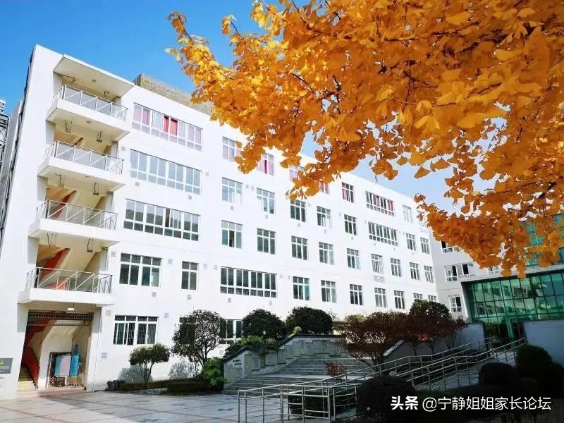 小升初择校家长你们焦虑吗,成都小升初家长最关心的问题