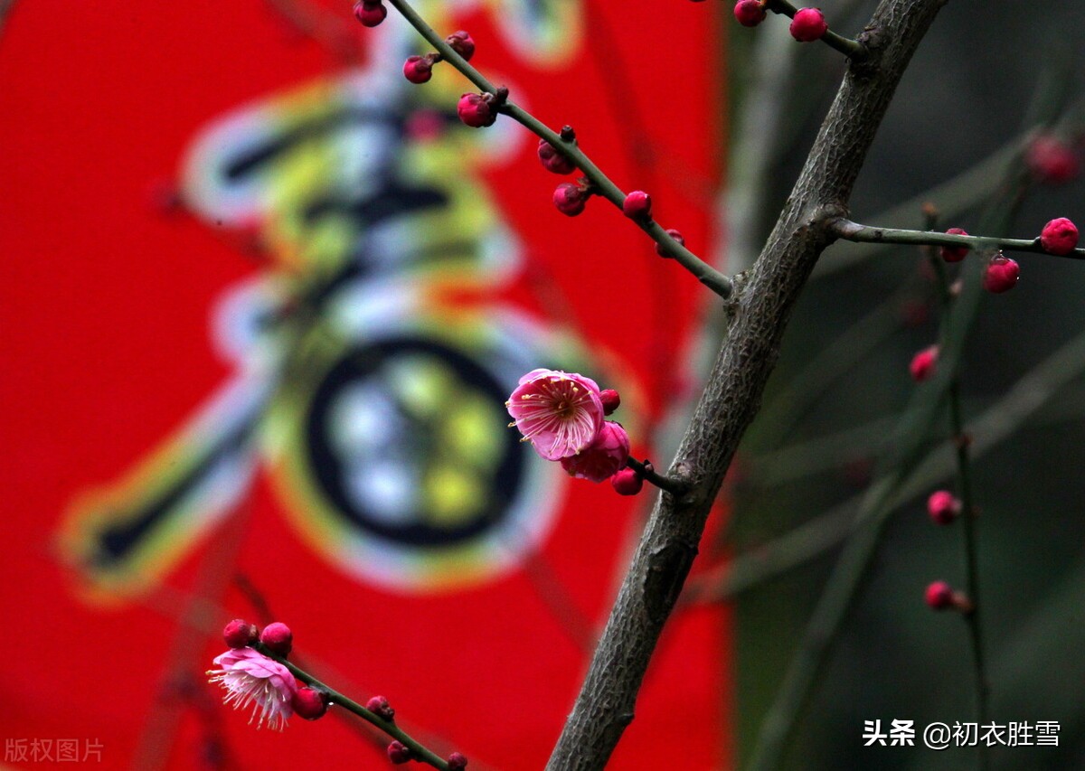 写立春的宋词,立春诗词十首宋词