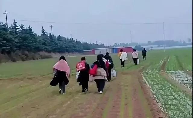 郑州富士康员工徒步返乡原因何在,郑州富士康员工徒步返乡怎么样了
