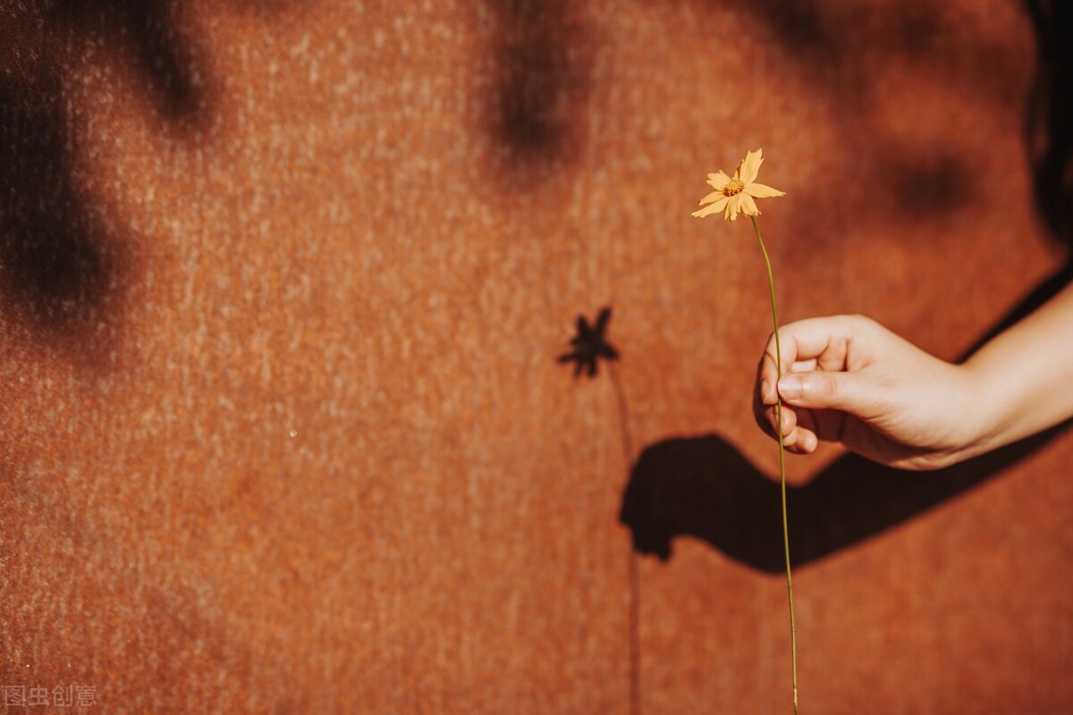 这味虎狼之药是肺脏专药，宣肺平喘，通鼻窍，治疗多种皮肤病
