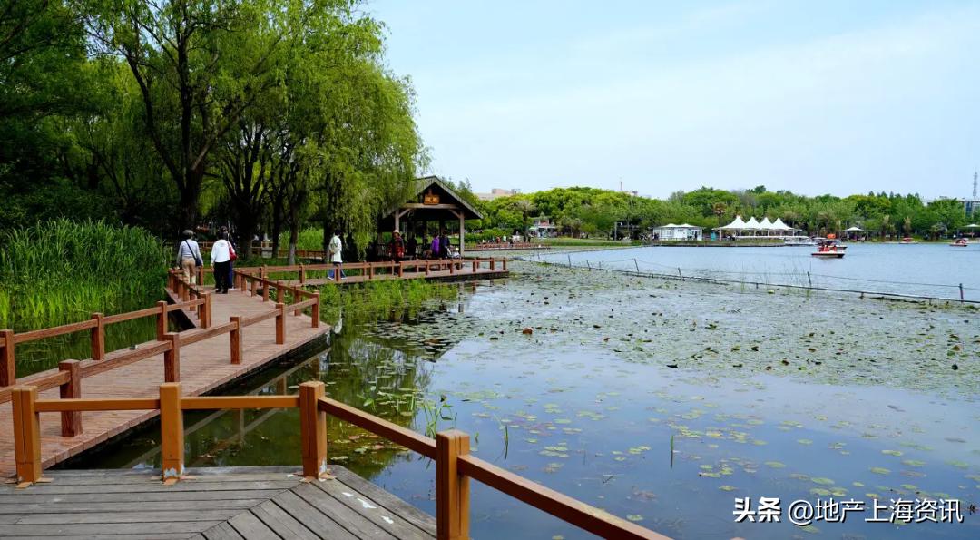 七宝板块划分,七宝测评