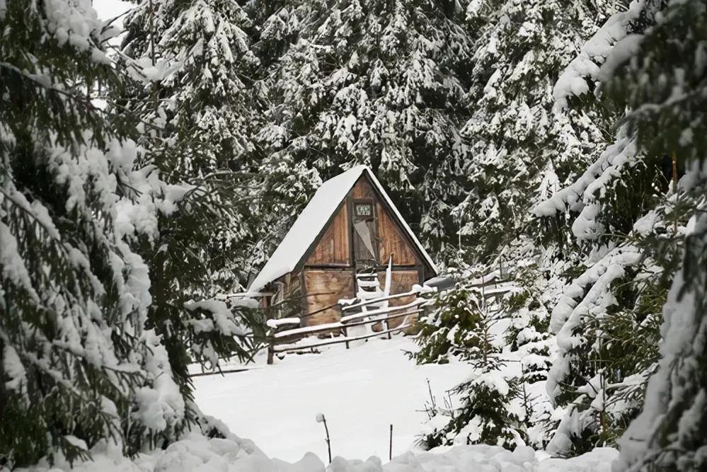 什么是复盘作品,什么是复盘股票