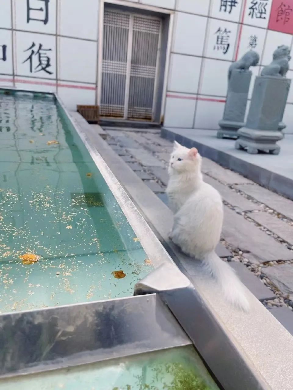 赵明明：上班摸鱼，是我的梦想!