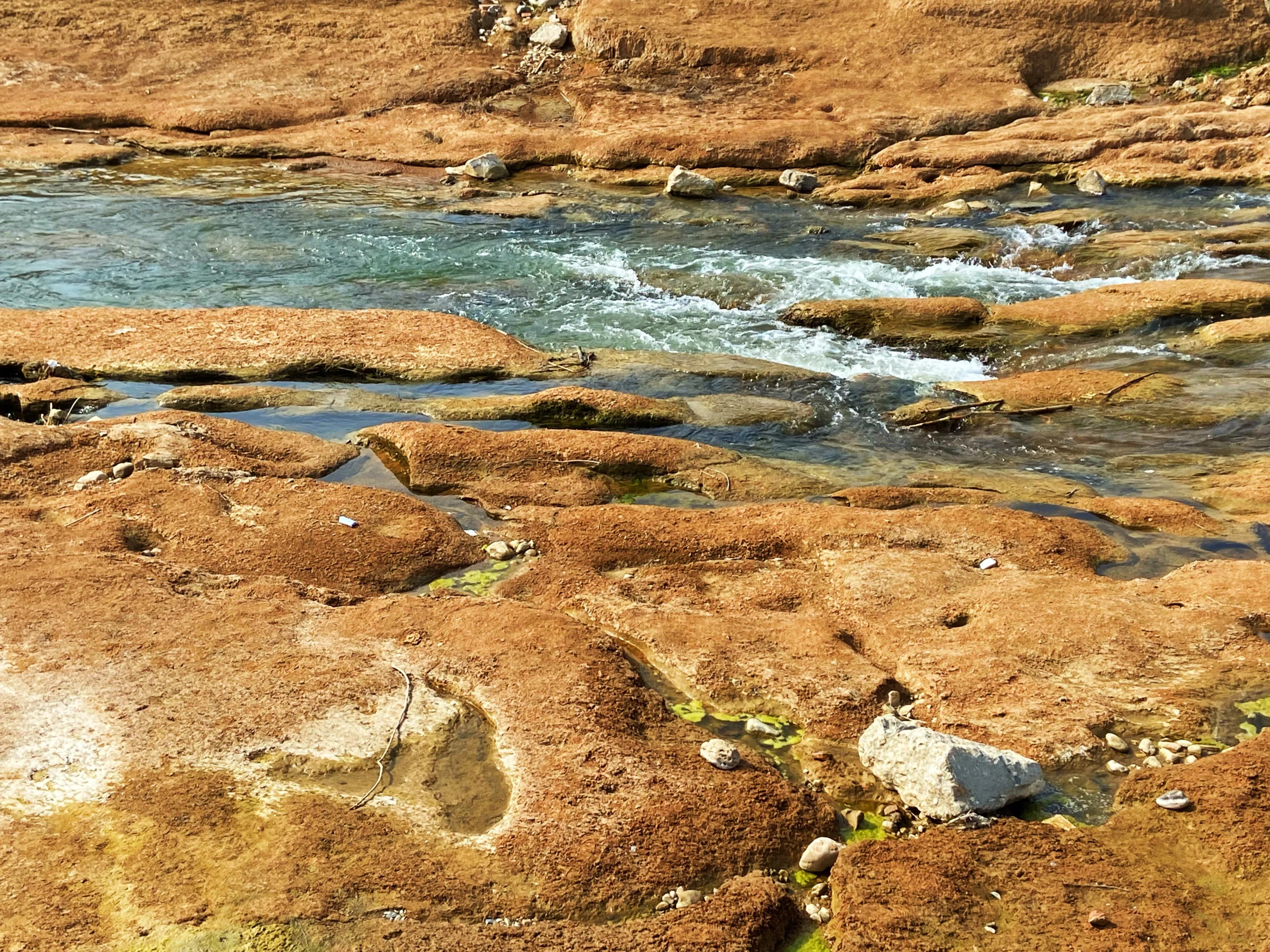 河边的景色真是太美了,文川河风景