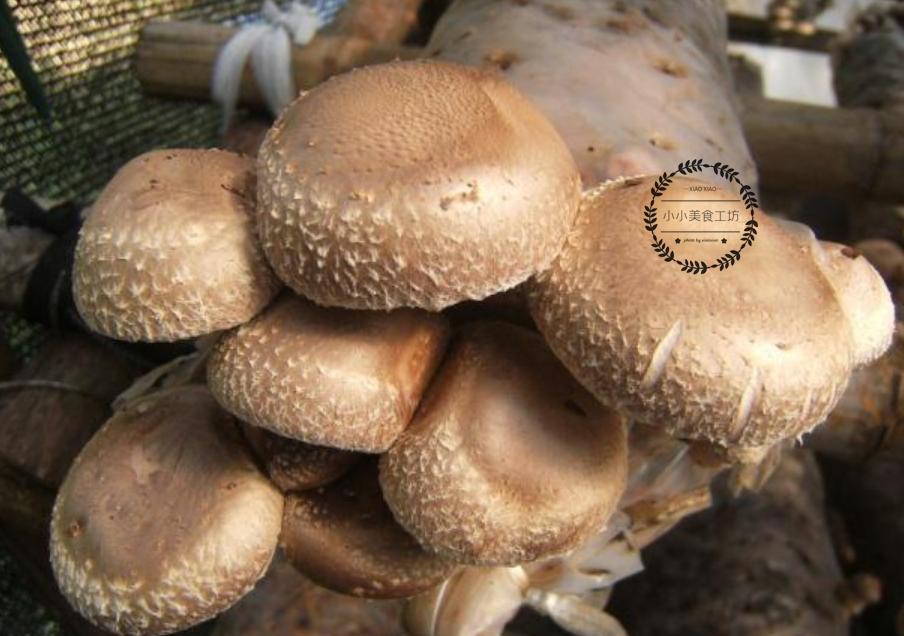 买香菇挑什么样的好,买香菇干的实惠还是湿的实惠