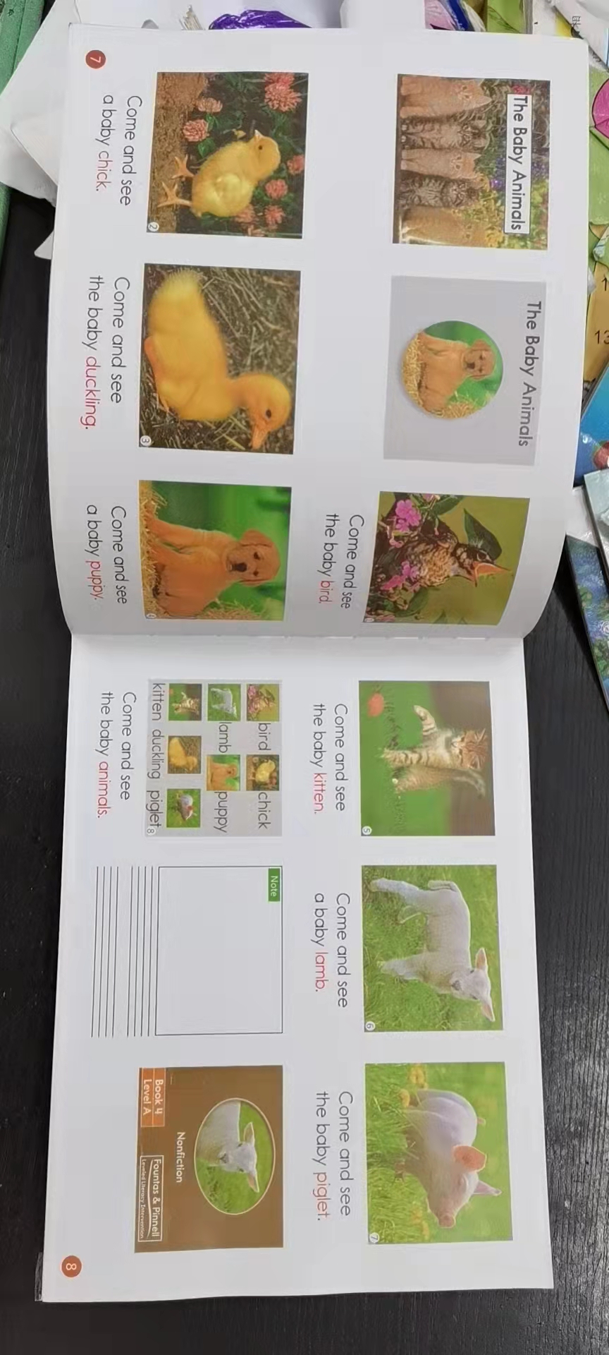 剑桥英语启蒙从几岁开始,婴儿英语启蒙从几岁开始比较好