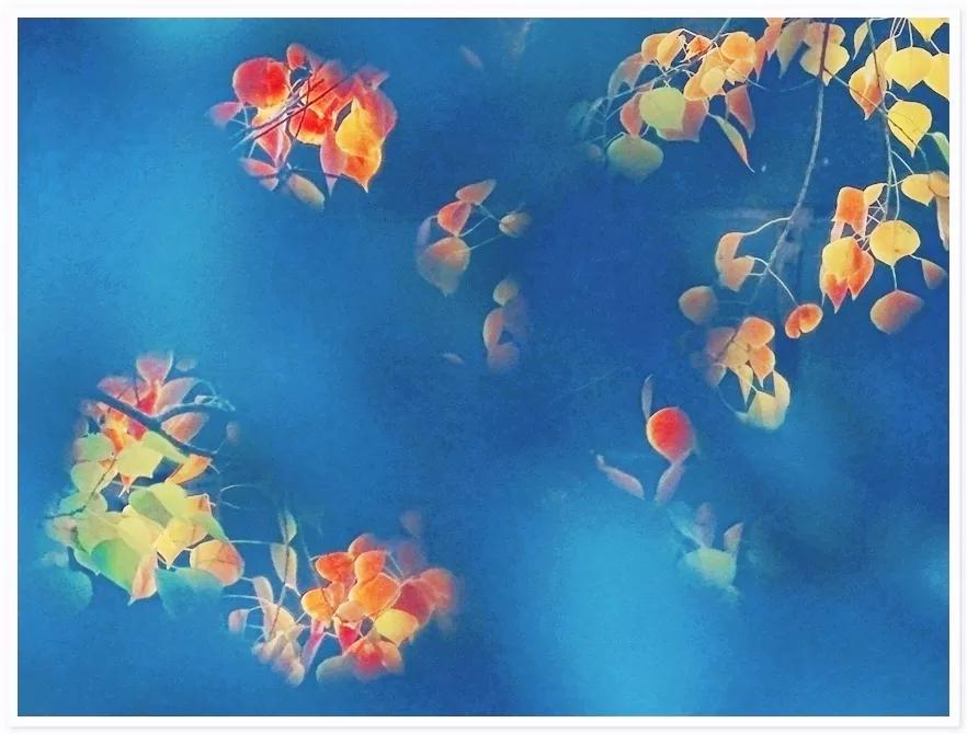 鑹插僵鏋勬垚浼樼浣滃搧,鑹插僵閫犲瀷鎽勫奖鏁欑▼