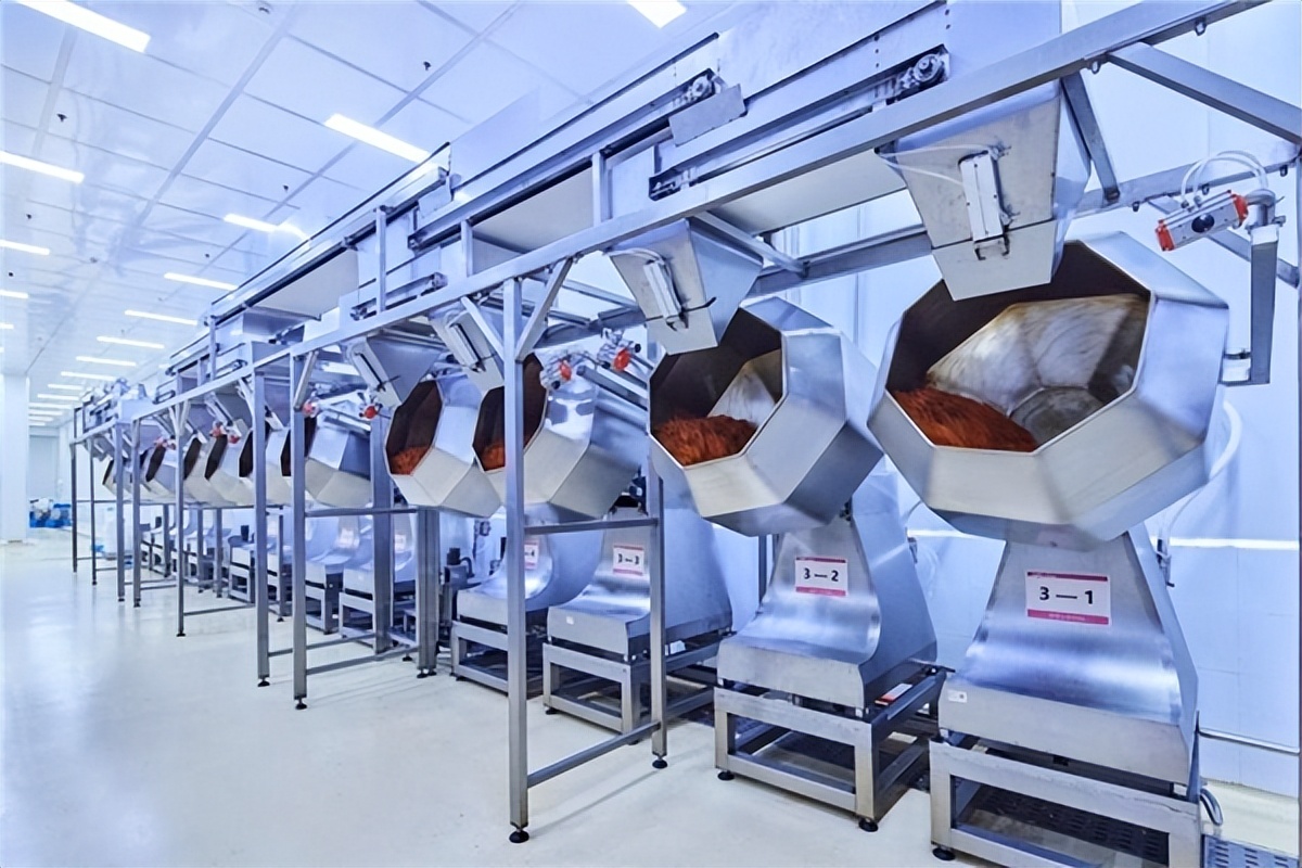 卫龙辣条的营销之路,卫龙公司辣条的所有产品