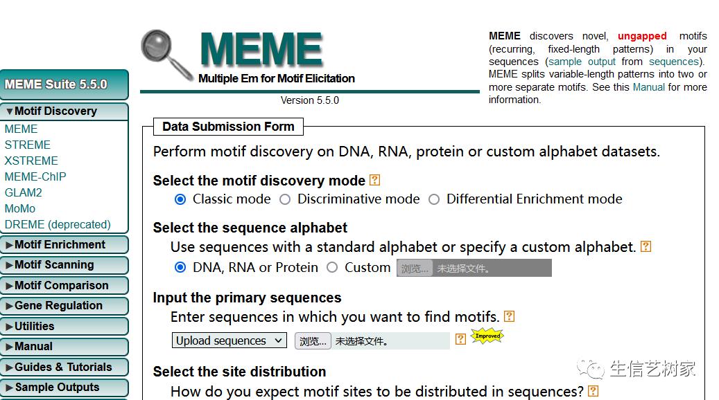 TBtools|基因家族分析,进化树、Motifs、结构域