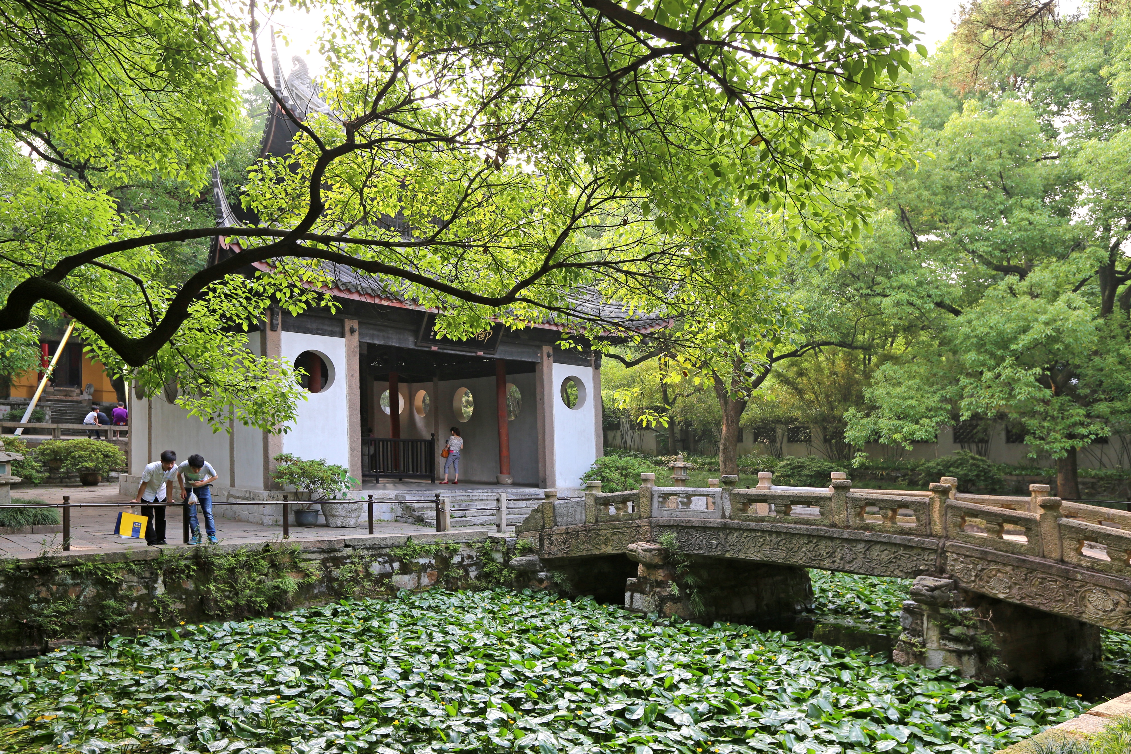 无锡十大最美古镇景点排名榜,无锡江南水乡旅游攻略