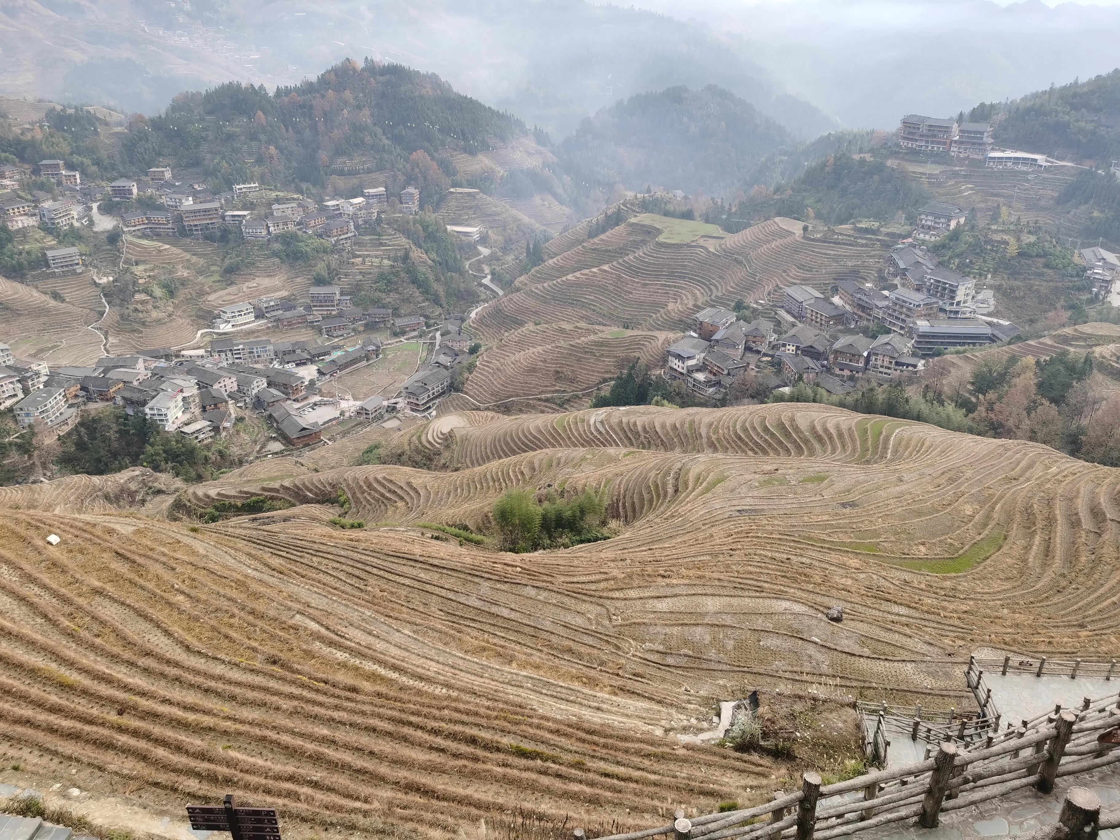 疫情中的成长与收获,疫情期间自己的收获和感受