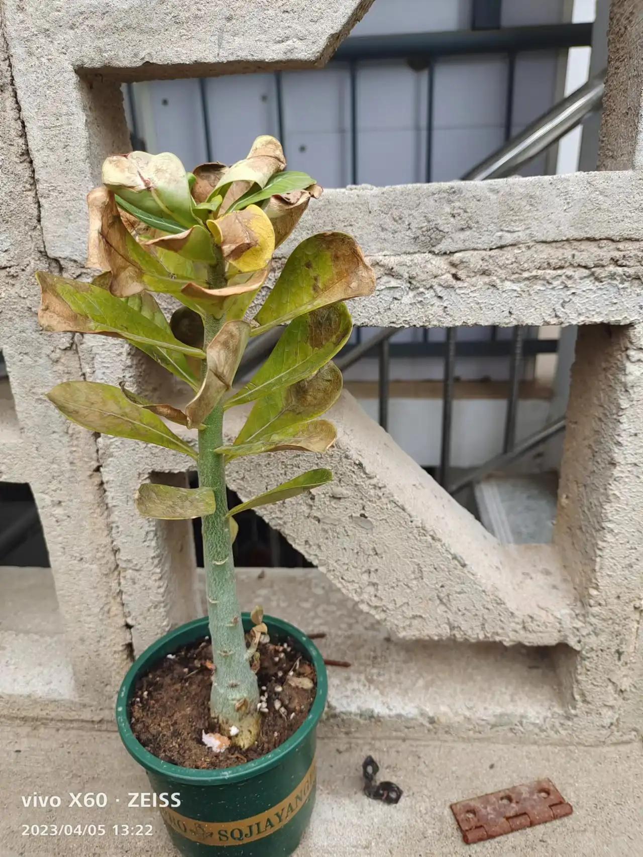 冤枉老公道歉怎么说,冤枉老公了又没勇气道歉怎么办