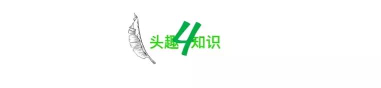 热搜上“女子花5w8买包”事件，撕开了多少人“穷精致”的遮羞布