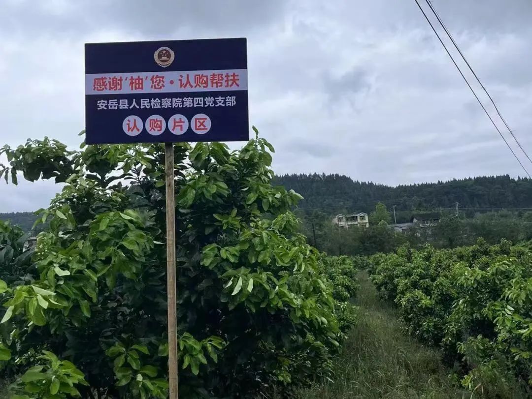 检察为民服务举措,安岳检察的微博视频