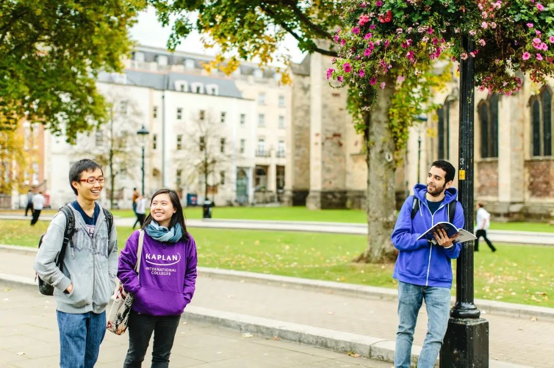 布村怎么样,布村是什么