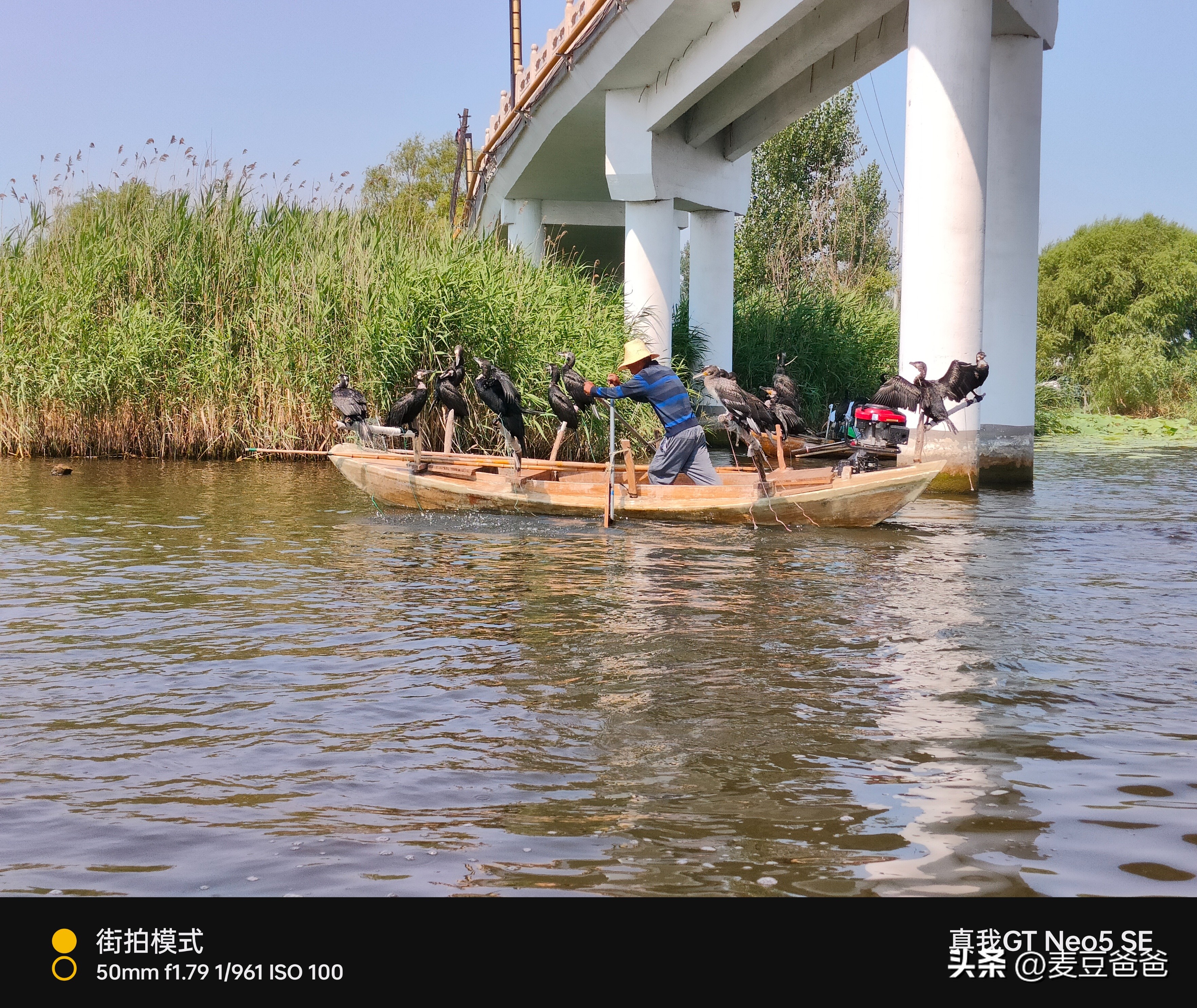 中端手机的自我修养,取舍之道:真我GTNeo5SE越级体验?