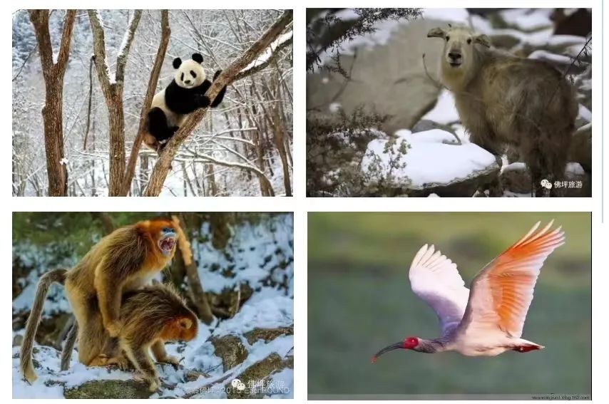 汉中旅游攻略两天一夜品汉中美食,汉中市旅游攻略亲子游