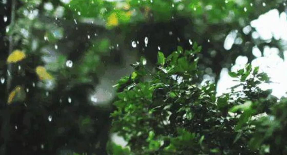 “有灾无灾，四月二十八早看天”，今日四月二十八，怎么看天呢？