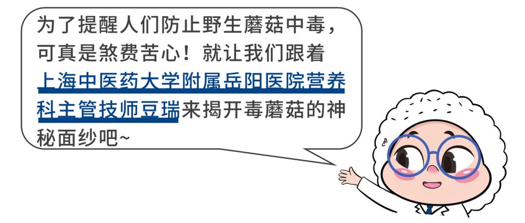 不做“菇勇者”！野生毒蘑菇又双叒叕“冒头”，防雷秘诀戳这里→