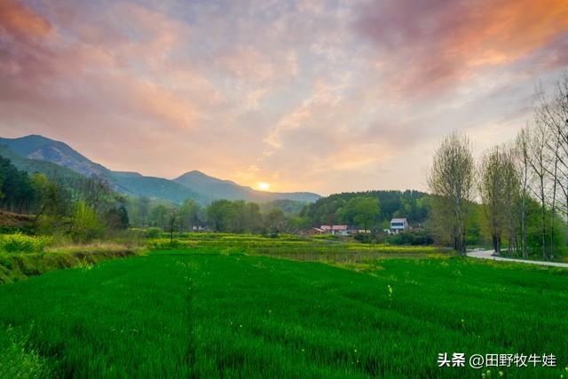 一个县委书记的临别感言,一个县委书记的日常生活