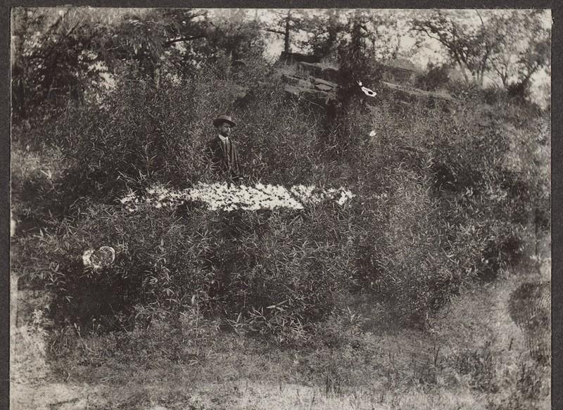 日军找“花姑娘”有多少*行暴**？老人回忆：日本兵没有一点人性