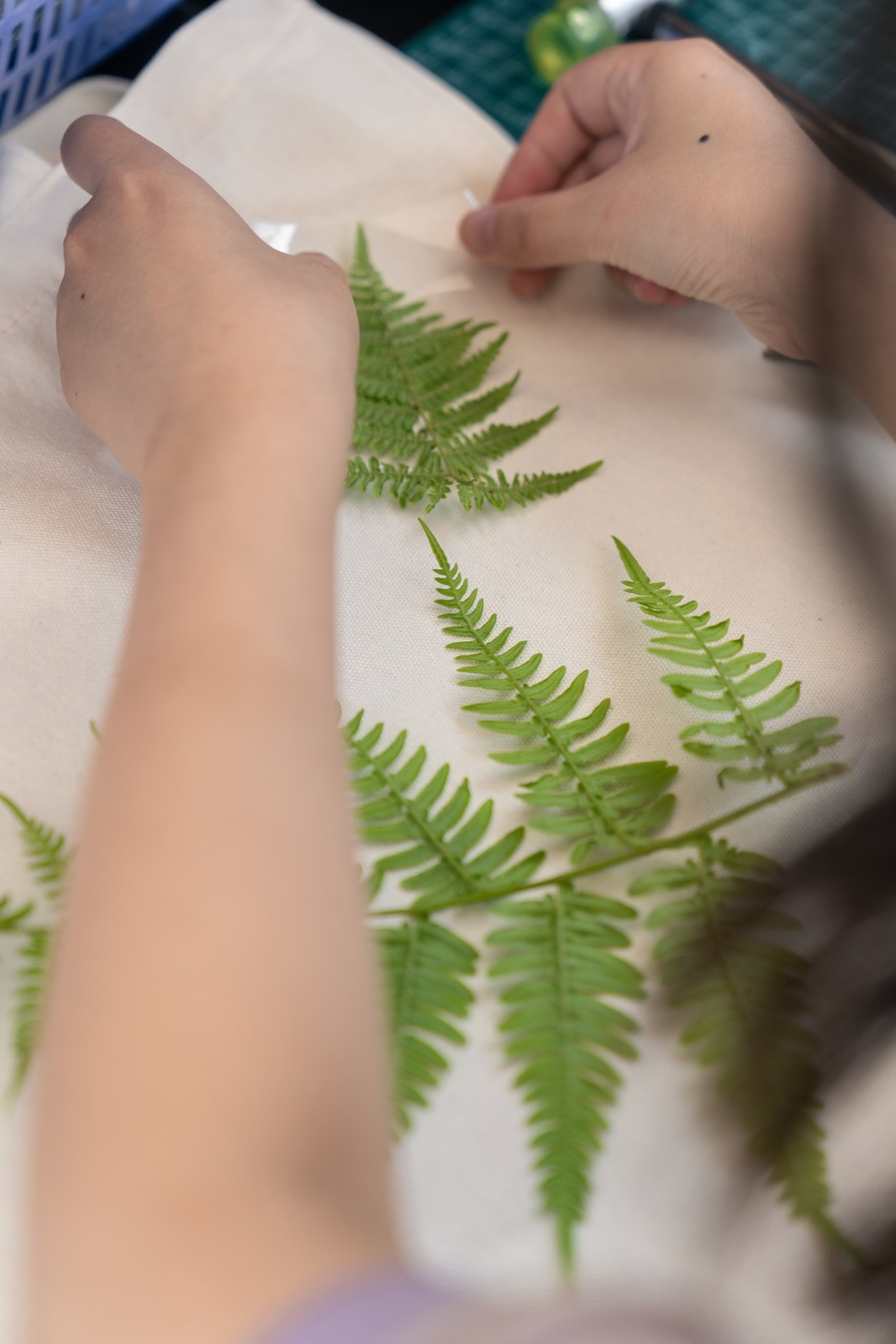 51camp安吉云松营地,帐篷营地森林音乐节