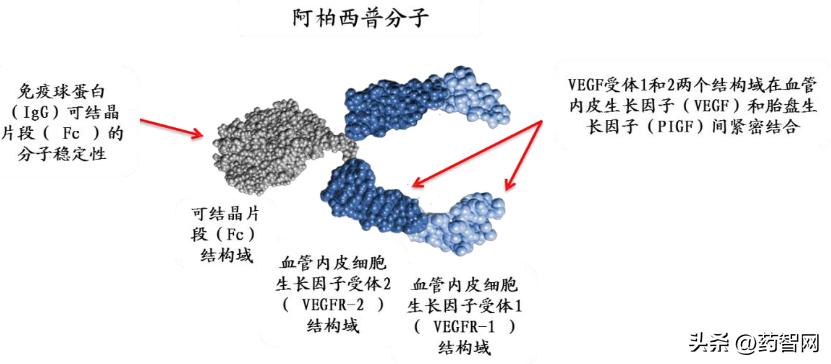 阿柏西普眼科神药,阿柏西普最新政策