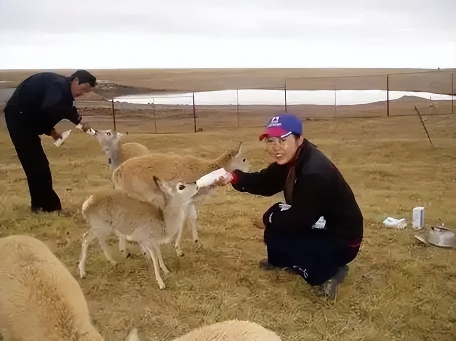 北京夫妻卖房旅游全世界,北京两口子卖房环游世界
