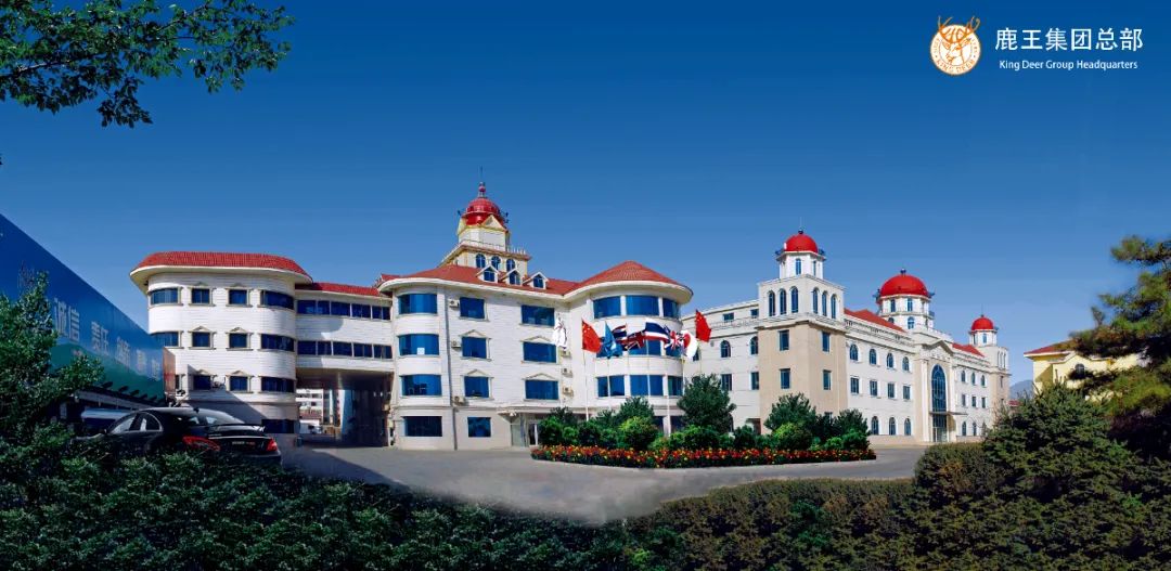 内蒙古鹿王羊绒有限公司老总,内蒙古鹿王羊绒有限公司上海浦东