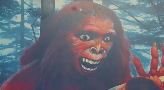 老猫猴真实存在吗,老猫猴的真实样子