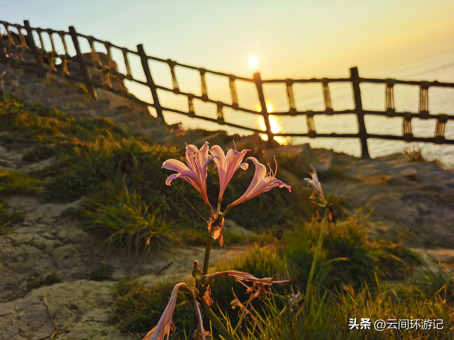 枸杞岛哪里看日落,去枸杞岛看蓝色的海