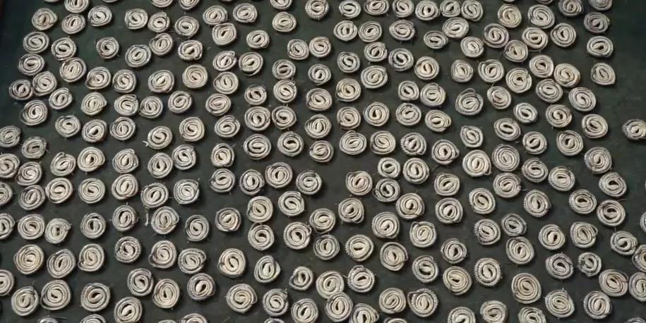 每晚枕着上万条蛇入眠,这里的村民为了脱贫能有多拼?