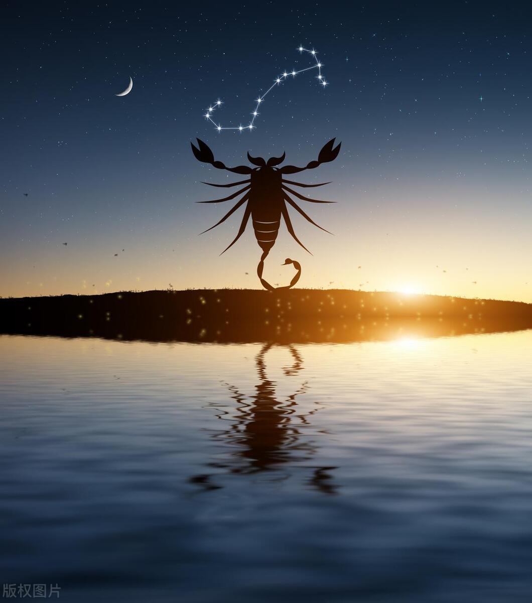 十二星座天蝎座真是什么都敢说,十二星座眼中的天蝎座