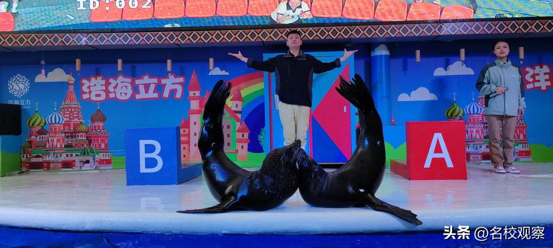 蔚蓝做苍穹，鱼儿变繁星！新川学子，走进浩海立方，探秘无限海洋