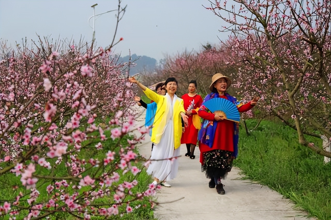 「自贡」以乡贤助力粉色经济打造最美农旅名片