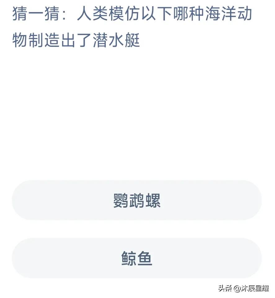 支付宝商户安全课堂答题答案,支付宝小鸡今日答题答案最新