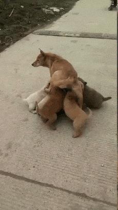 相亲对话笑话段子爆笑,笑话段子逗相亲对象开心