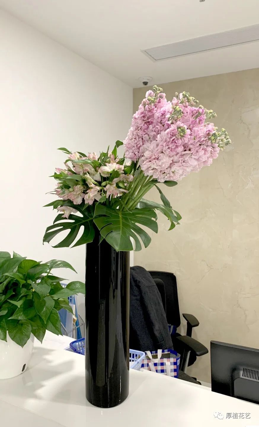 商务前台鲜花,前台花选择