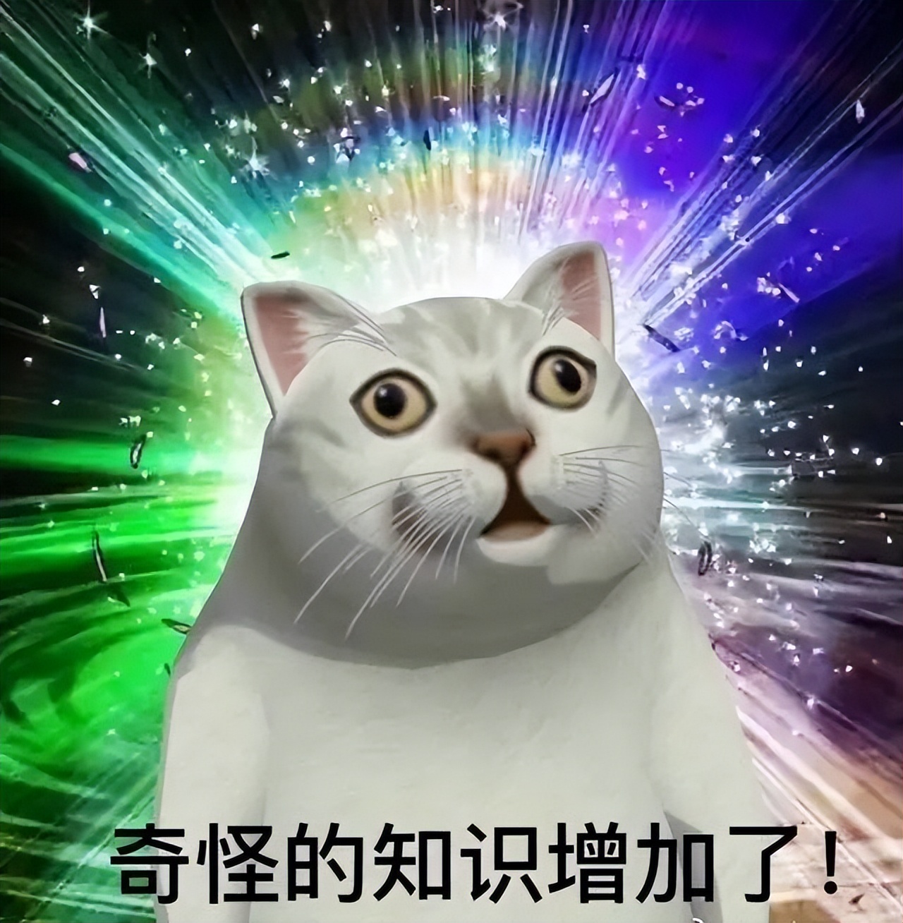 这些停产好物我们找到替代品了！,中国人不骗中国人